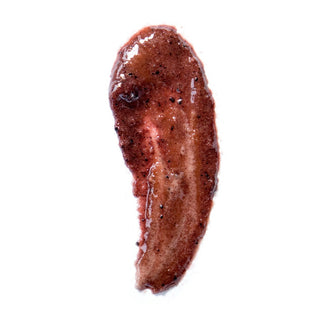 Honey Love Sample